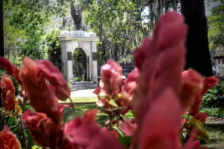 Botanical Tour (by Walk With Me Savannah Tours) - Photo 1 of 21